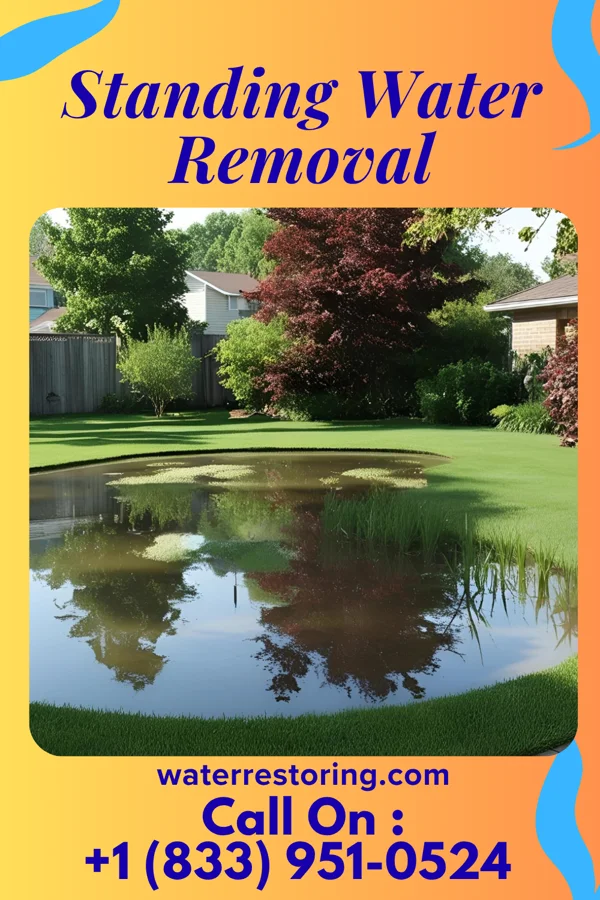 Standing Water Removal in Ponca City, OK